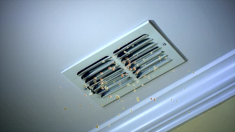  Elizabethville, PA Airduct Cleaning Pros